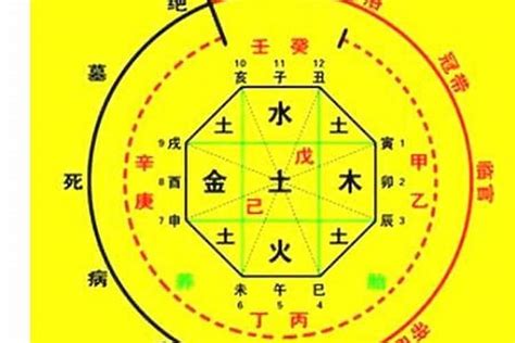 命理五行查詢|生辰八字算命、五行喜用神查询（免费测算）